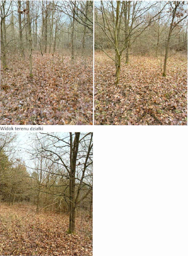 Nieruchomość - Starachowice