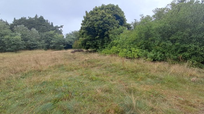 Nieruchomość - Krosinko