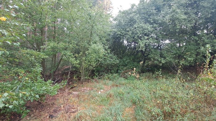 Nieruchomość - Krosinko