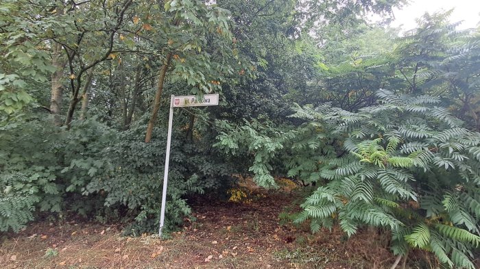 Nieruchomość - Krosinko