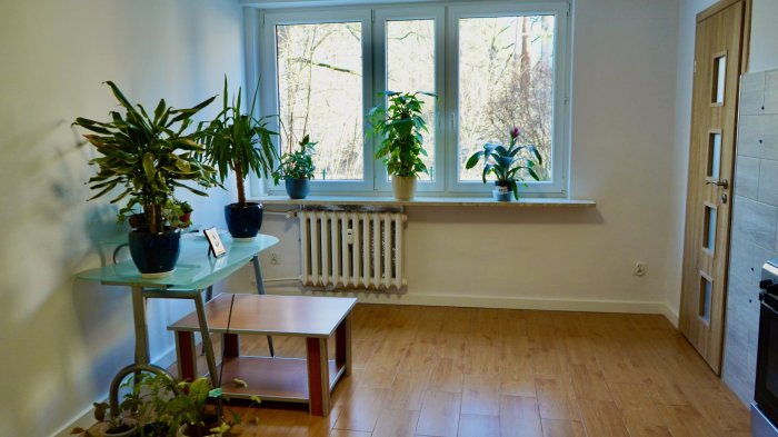 Mieszkanie, 43 m&sup2;, Warszawa