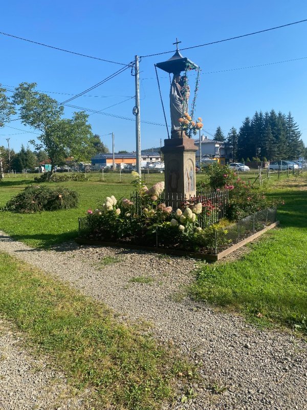 Działka w Zag&oacute;rzanach