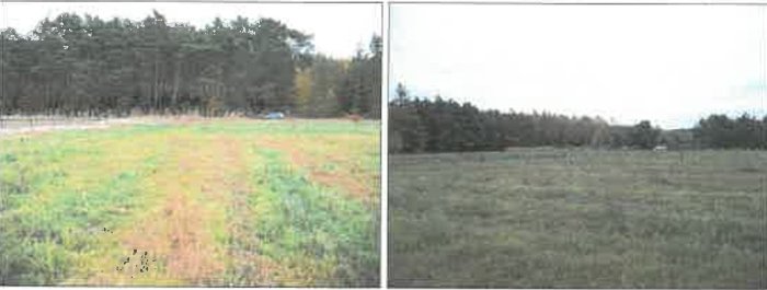 Działka, 4 999 m&sup2;, Słon&oacute;w