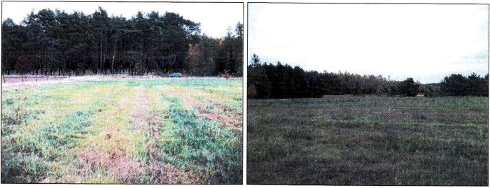 Działka, 4 999 m&sup2;, Słon&oacute;w