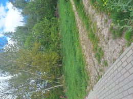 Nieruchomość - Wandzin