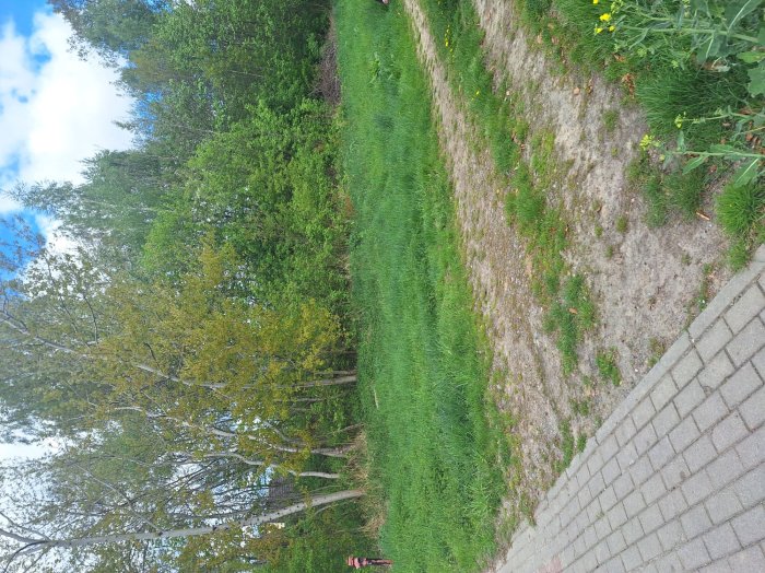 Nieruchomość - Wandzin