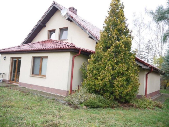 Nieruchomość - Wilkanowo