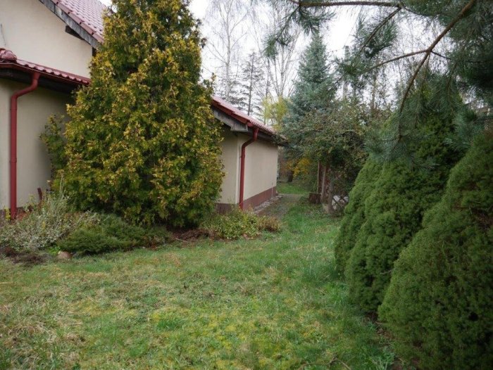 Nieruchomość - Wilkanowo