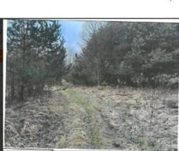 Nieruchomość - Srocko