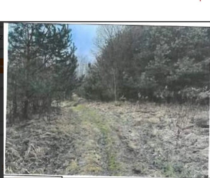 Nieruchomość - Srocko