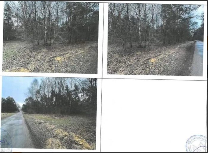 Nieruchomość - Srocko