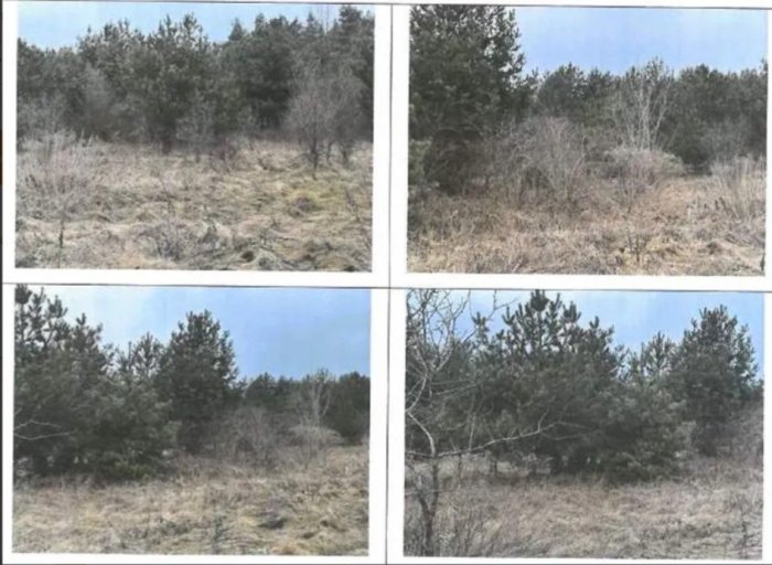 Nieruchomość - Srocko