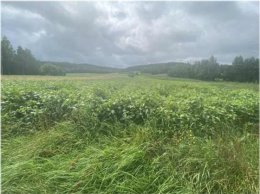 Nieruchomość - Długie