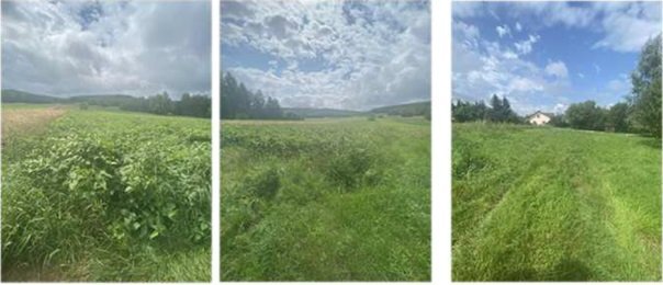 Nieruchomość - Długie