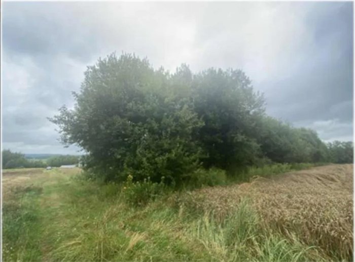 Nieruchomość niezabudowana - Poręby