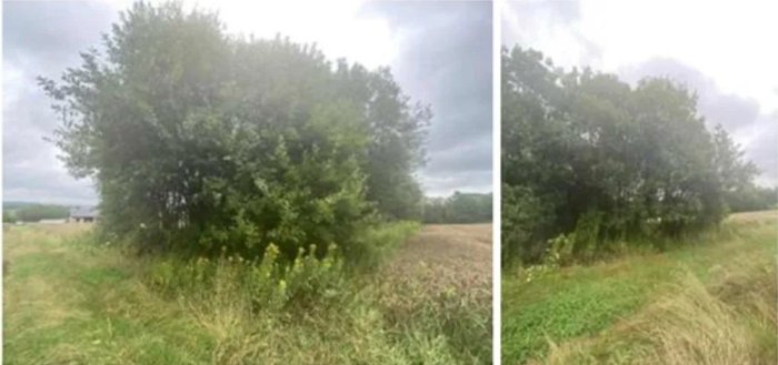 Nieruchomość niezabudowana - Poręby