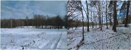 Działka, 9 919 m&sup2;, God&oacute;w
