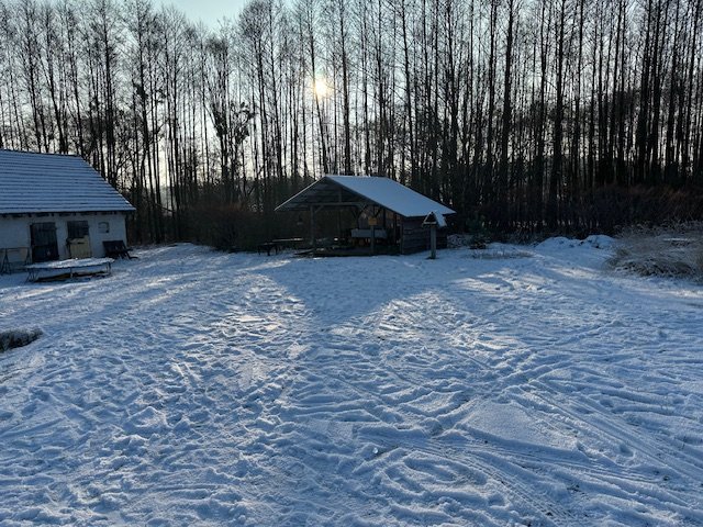 Nieruchomość - Trzechel