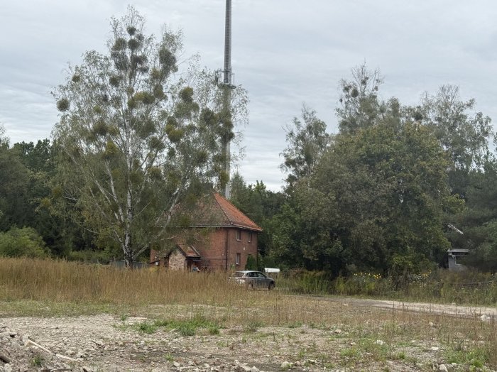 Nieruchomość - Olsztyn