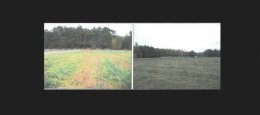Działka, 4 999 m&sup2;, Słon&oacute;w