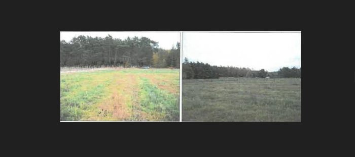 Działka, 4 999 m&sup2;, Słon&oacute;w