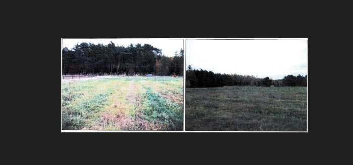 Działka, 4 999 m&sup2;, Słon&oacute;w